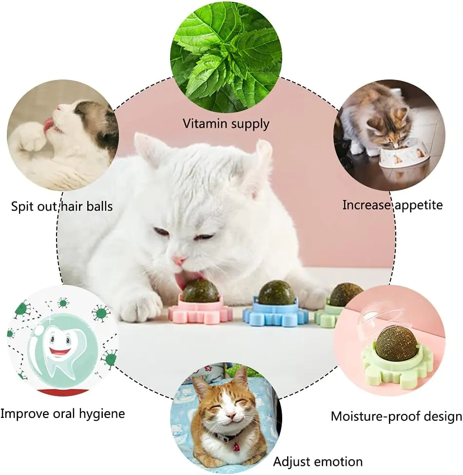 Catnip Wall Ball Cat Toy