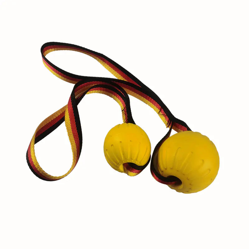 EVA Pet Toy Ball - Floating Frisbee for Dogs