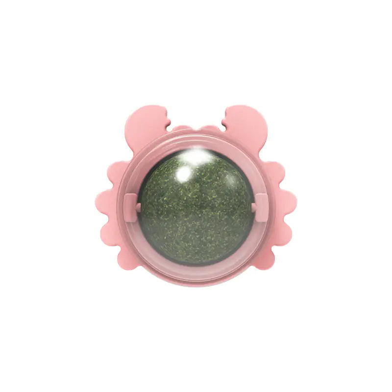 Catnip Wall Ball Cat Toy