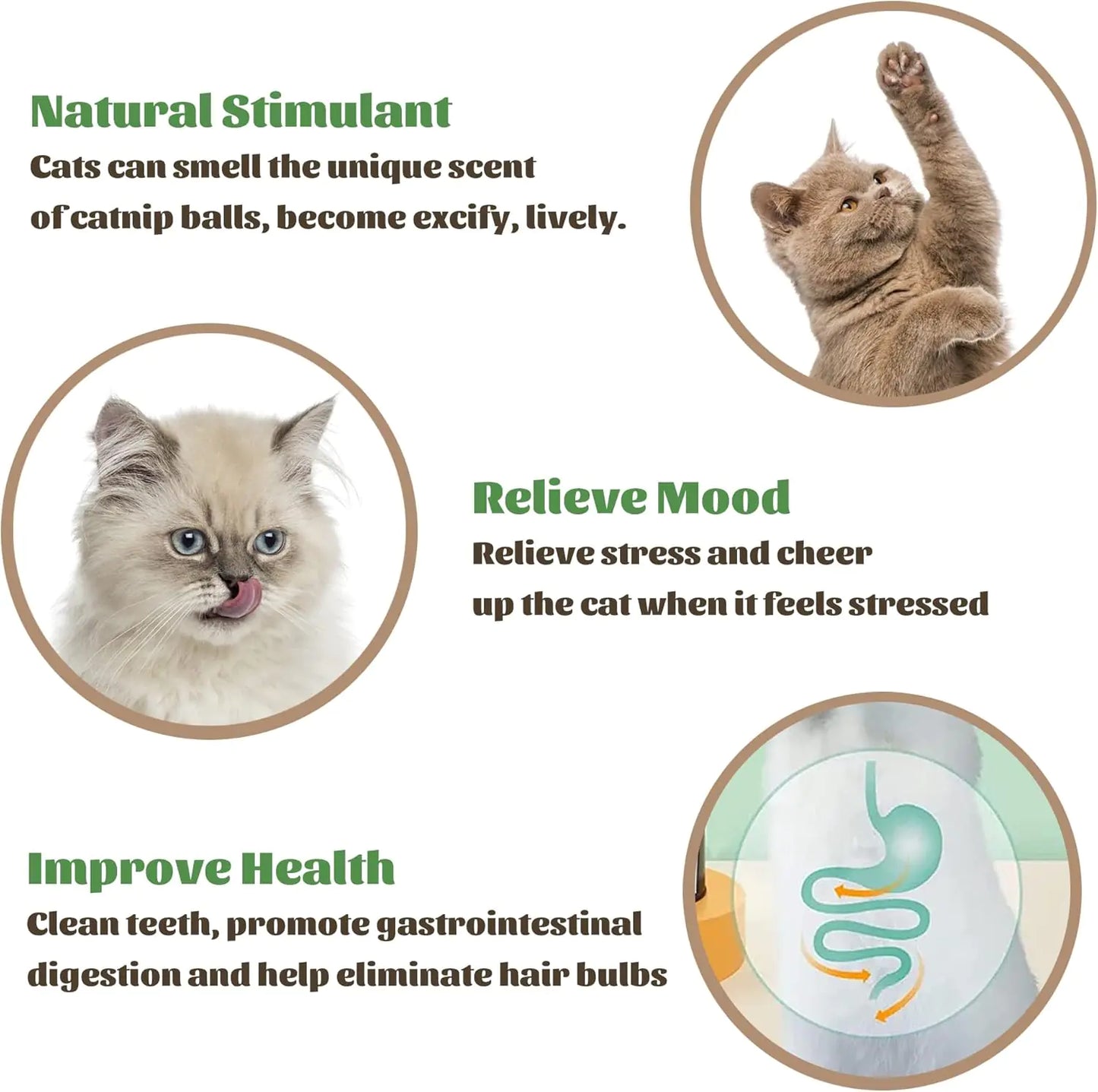 Catnip Wall Ball Cat Toy