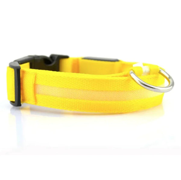 Glow Paw LED Safety Collar - Pawrizon