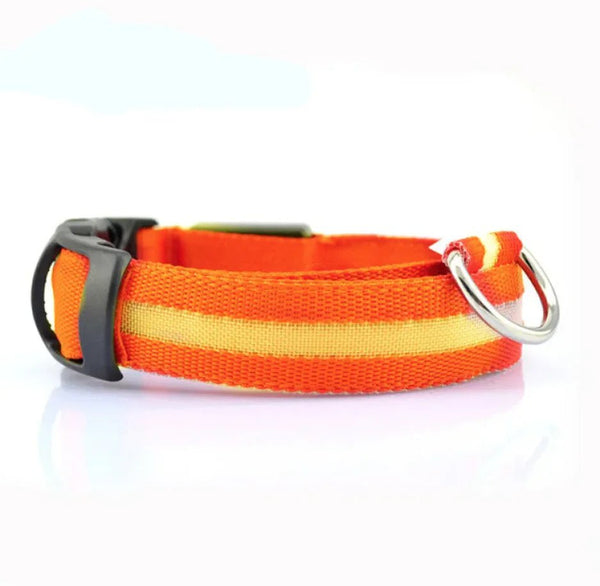 Glow Paw LED Safety Collar - Pawrizon