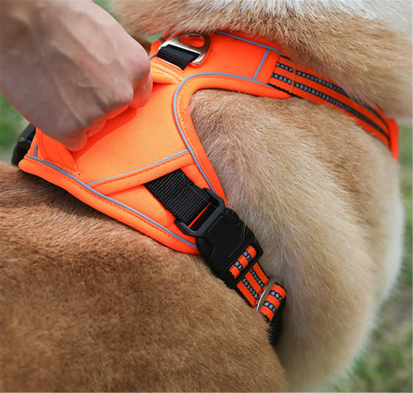 Durable Waterproof Pet Harness with Vertical Handle - Pawrizon