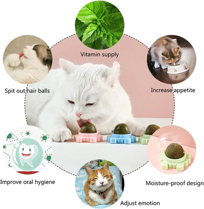Catnip Wall Ball Cat Toy