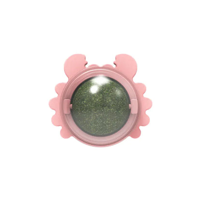 Catnip Wall Ball Cat Toy