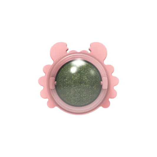 Catnip Wall Ball Cat Toy