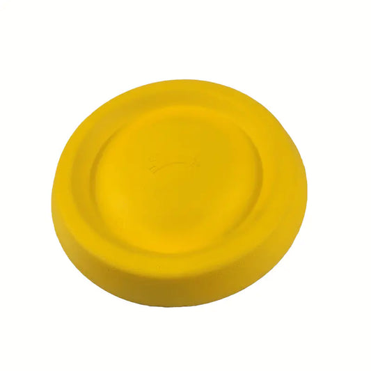 EVA Pet Toy Ball - Floating Frisbee for Dogs
