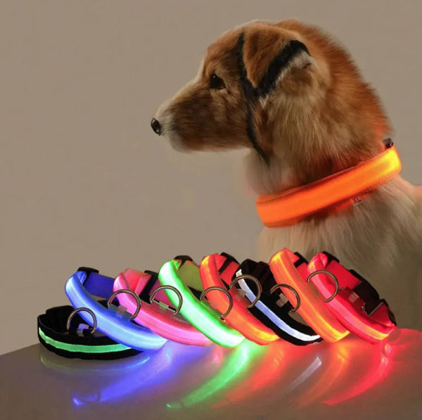 Glow Paw LED Safety Collar - Pawrizon
