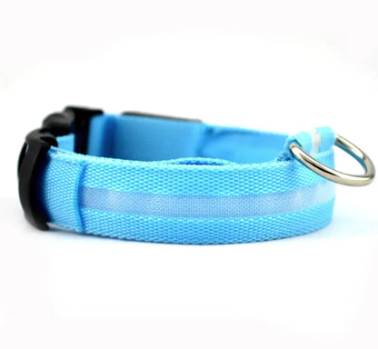 Glow Paw LED Safety Collar